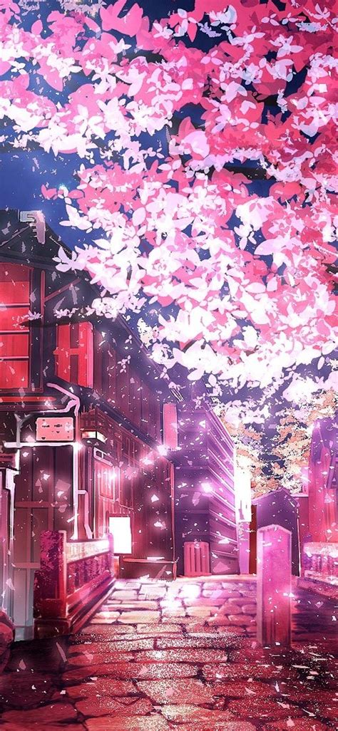 cherry blossom wallpaper 4k phone|cherry blossom anime wallpaper 4k.